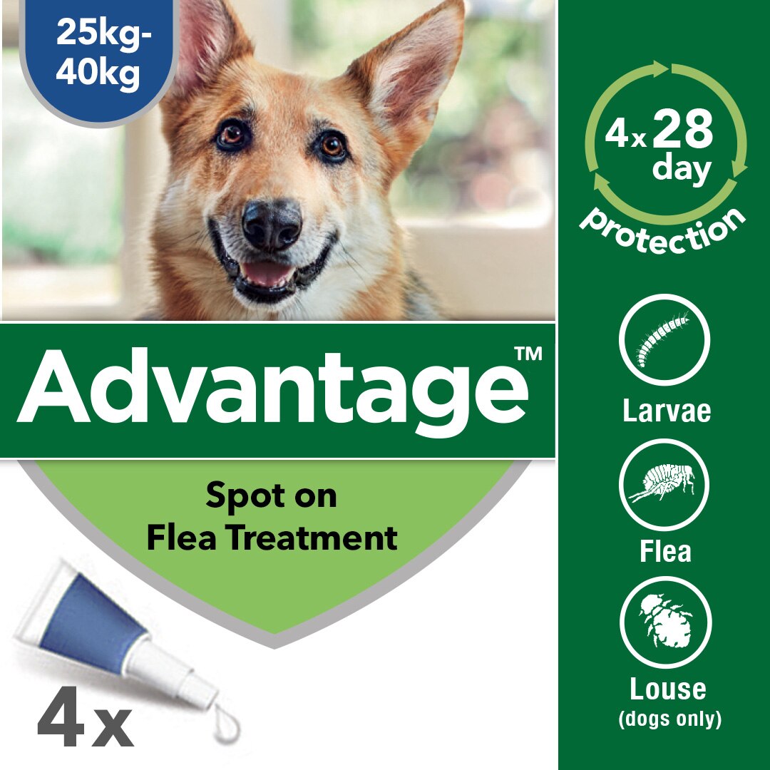 Advantage 400 Spot On Flea Control Extra Large Dog  (25-40kg) - 4Pack